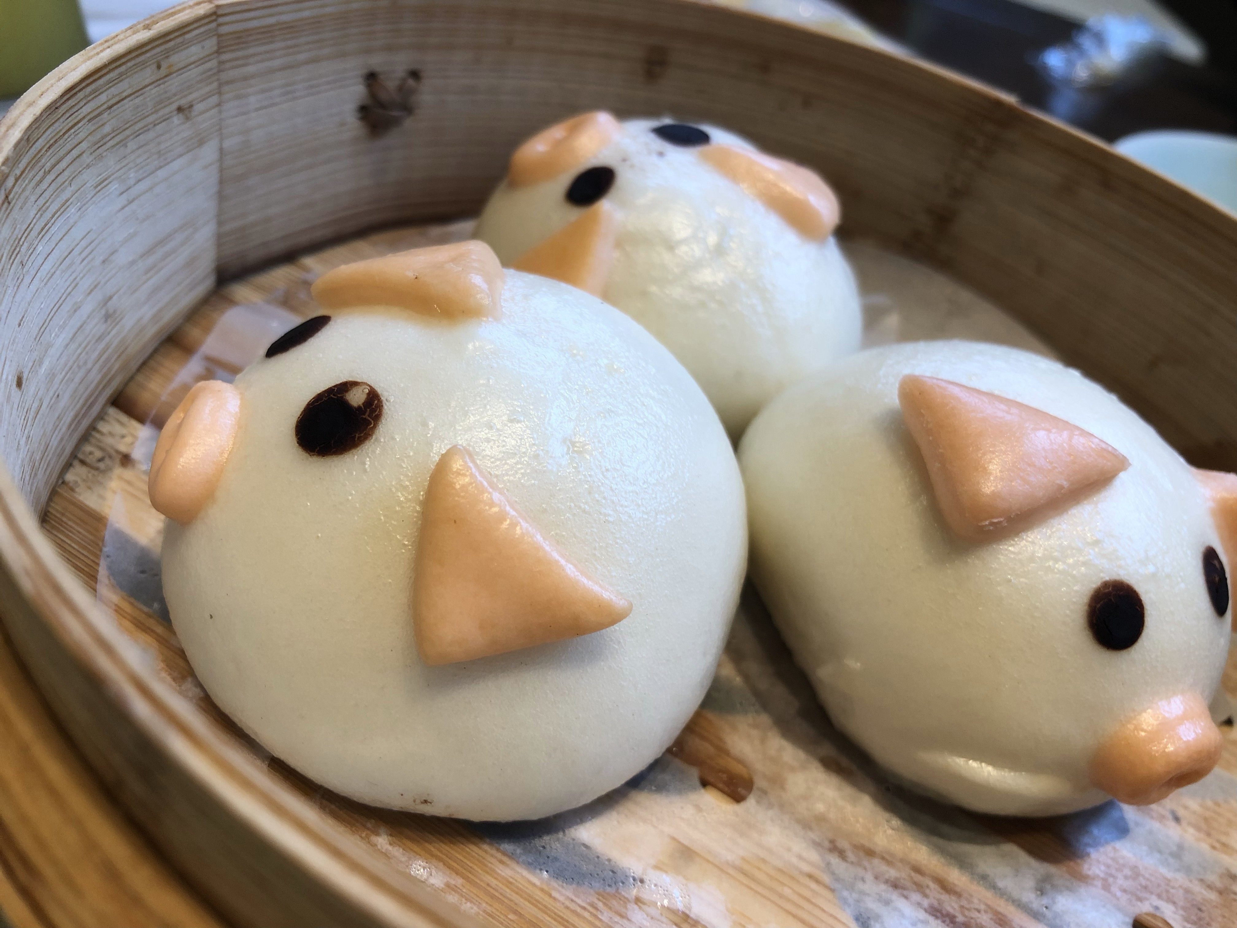 守屋大志の本場中国で食べる豚まん